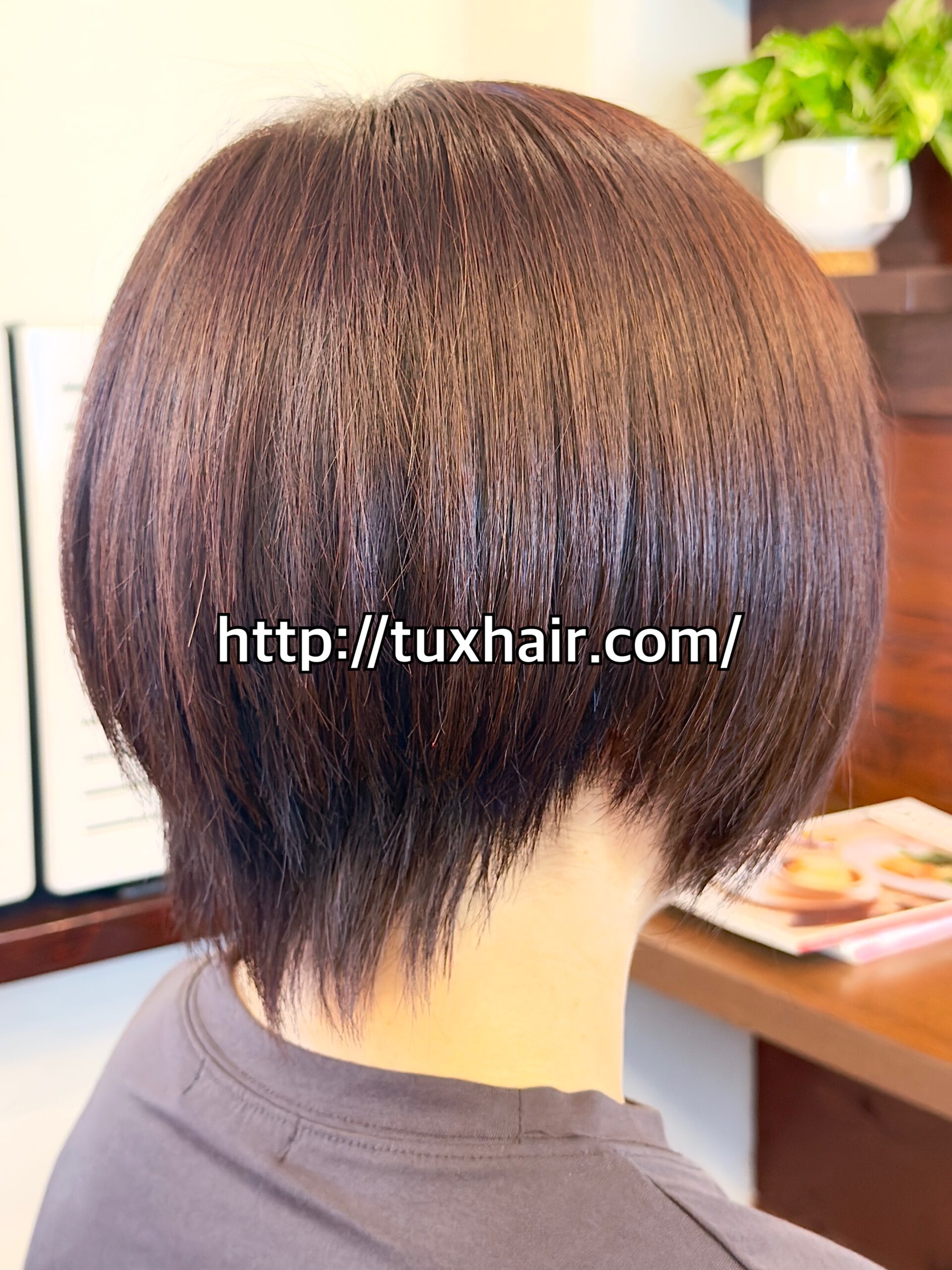 レディースカットS㉜｜グラボブ・アシンメトリー