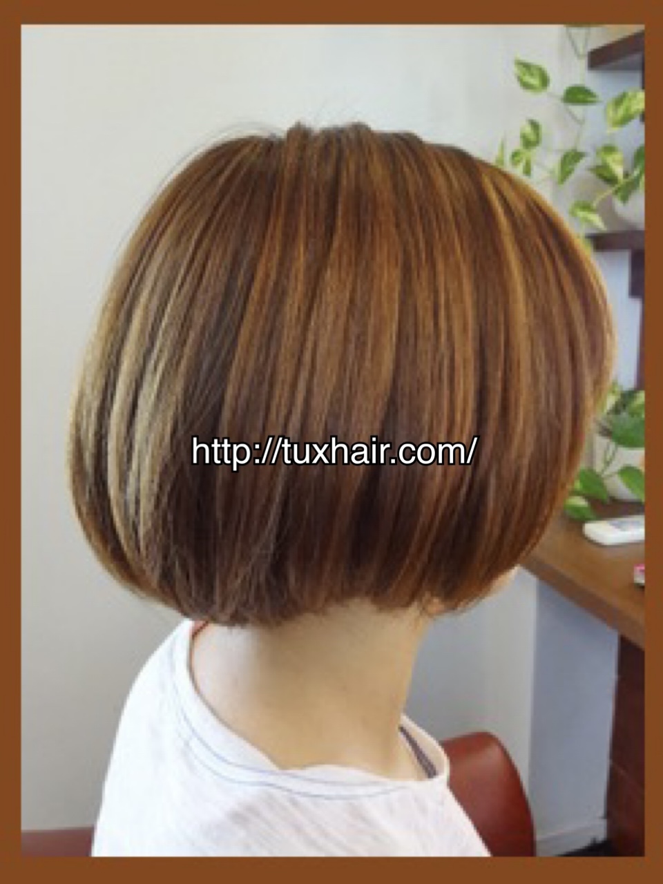 レディースカットS㊼｜マッシュ系グラデーションボブ